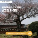 공음초등학교 | 를 찾아서 봄 향기가 물씬 나는 남고창 라이딩 (무장읍성-도암서원-공음 청보리밭-하고리 왕버들나무숲)