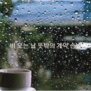 비 오는 날 뜻밖의 계약 손님