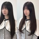 붙임머리