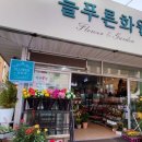 늘푸른화원 이미지