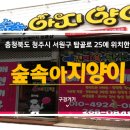 산남동물병원 | 펫방 입점 충북 서원구 애견미용,분양:) 가족처럼 생각해요. 애견미용,분양 &#39;숲속아지양이&#39;