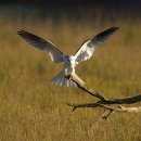 Let’s Go~! , 세계일주 ^^ 인생 후반전을 시작하면서... 이미지