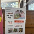 해운대로774번길 | 장산역카페)애견 동반가능한카페로 데이트하기 좋은 강아지카페 “위디위키”