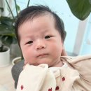 이레윅스 | [육아일기 - 0개월] 신생아 아기 육아 - 금천구 이레아이맘 산후도우미, 산후우울증