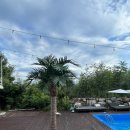 샤크빌리지7 이미지