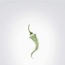디자인파워
