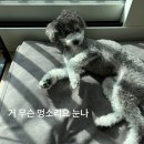 노무사 생동차 합격 비결 : 결전의 막달(8월) 공부법