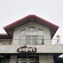 강남아구찜대구뽈테기 | 광주 근교 담양 메타세쿼이아길 근처 맛집 수미뽈테기 포장후기