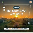 함안 말이산고분군 이미지