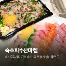 속초회수산 | 속초 회포장 맛집 추천 속초회수산마켙 내돈내산 후기 (속초중앙시장 횟집)
