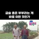 금술 이미지