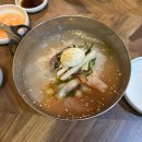 창원 마산 조박사냉면, 오늘김해뒷고기 - 함흥냉면, 가성비 고깃집