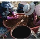 감천할머니 이미지