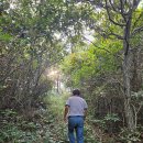 함평축협섬유질사료공장 이미지