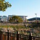 굿거리공원 이미지