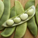 FUNNY LAND 이미지