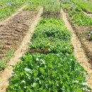 양수농장 이미지