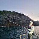 갈매기1호 이미지