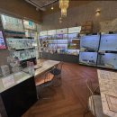 도그마루 강아지고양이 목동점 | 도그마루 강아지 고양이 목동점에서 서울강아지분양으로 건강한 친구를 만났어요