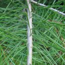 하늘농장2 이미지