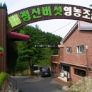 열두개울버섯마을 이미지
