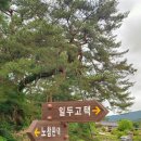 함양정일품명가