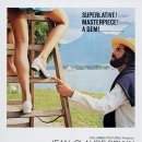 별빛애견 이미지