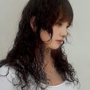 예술헤어샵 - 서귀포시 표선중앙로 85 | 예술헤어샵