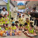 용상공설시장 이미지