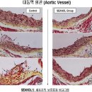 국내 첫 FDA 승인 받은 물질 씨놀 이미지