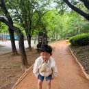 안산 민속공원 황토길 맨발걷기 후기, 아이와 산책하기 좋은 공원🏞️