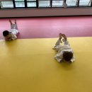 원주유도스쿨 이미지