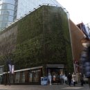 네이처리퍼블릭 카카오 검색결과