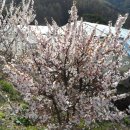 오삼농원 이미지