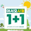 이치안경원(ECHY)·렌즈타운 방이역점 이미지