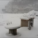 차동농장 이미지