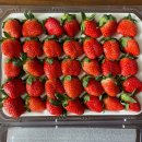 가수 | 2026 논산 딸기 축제 행사 일정 주차 초대가수 후기 충남 봄축제