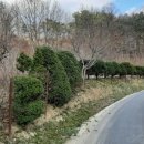 The K 공인중개사사무소 이미지