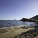 일월애관광농원 이미지