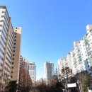 서초진흥아파트 이미지