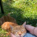 생명(조각) 이미지