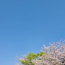 미스터클럽 이미지