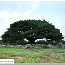 푸른솔농원 이미지