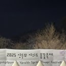 2025여의도벚꽃축제 첫날 다녀온 후기, 개화현황/푸드트럭/코스꿀팁