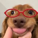 속초오징어어시장 구로디지털단지점 이미지