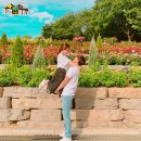 곡성-013 | 2019 부천 백만송이장미축제 꼭가보세요