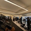 비비드짐 이미지