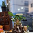 메리다 패밀리 리페어 이미지