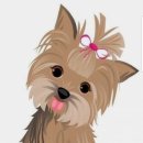 반려견을 위한 천연 아로마테라피 이미지