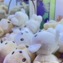 뽑기의 유혹 이미지